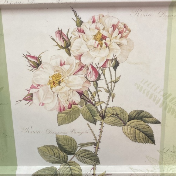 2  Melamine Handled Dinner TV
Lap Trays Roses Flowers Floral - Picture 3 of 16